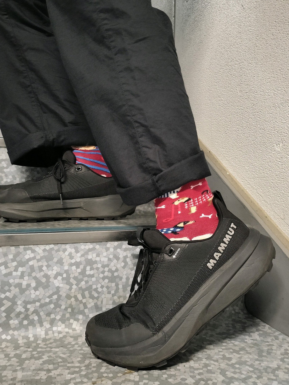 お出かけ、旅行にオススメ まえちゃん