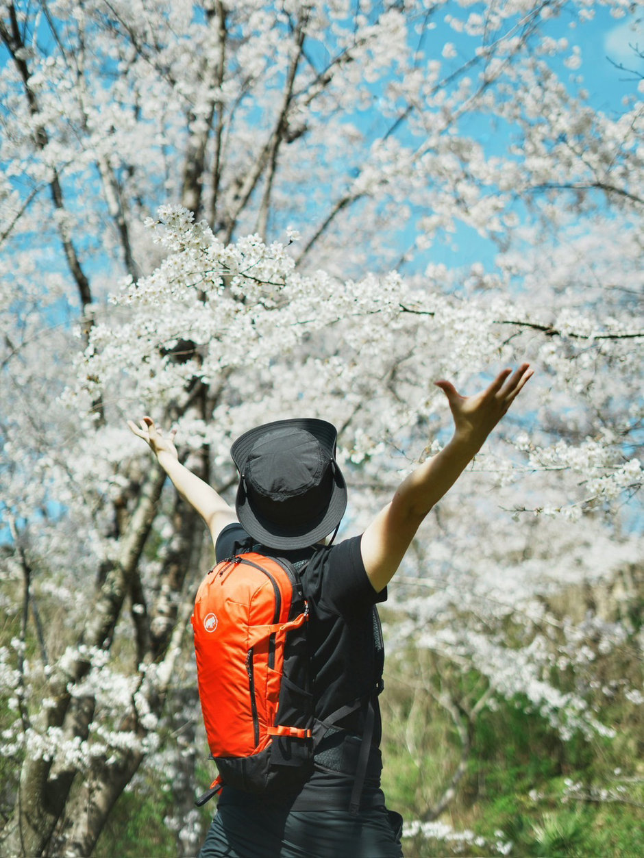 日常　③ コタロー