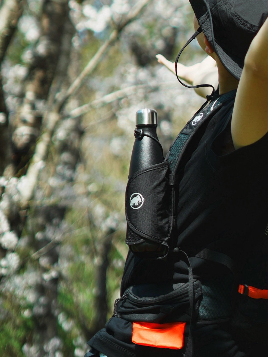 日常　③ コタロー