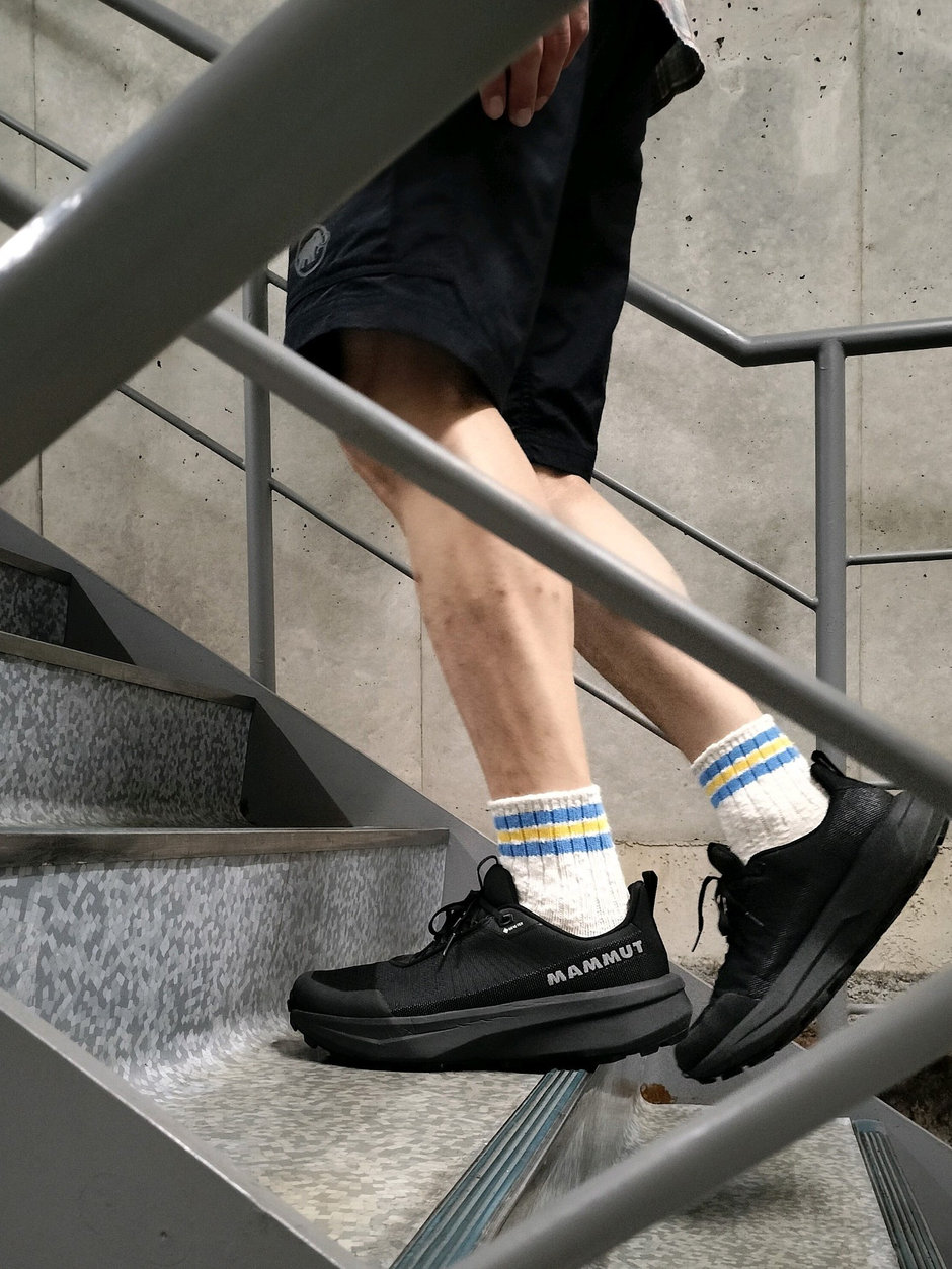 お出かけ、食事、散歩にどうぞ。 まえちゃん