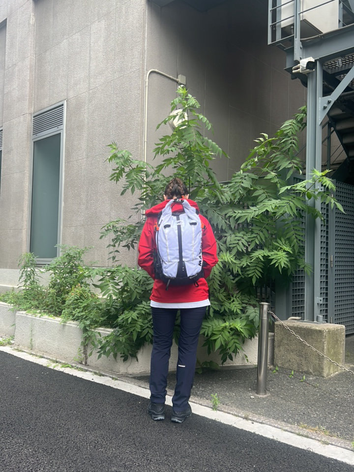 富士山コーデ ニシハラマキ