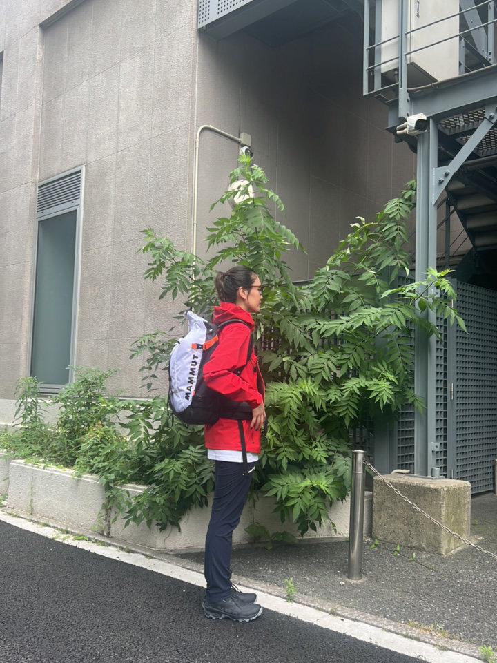 富士山コーデ ニシハラマキ